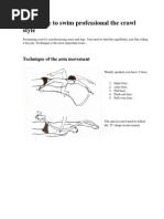 Technique To Swim Professional The Crawl Style