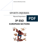 Sports Injuries: European Sections