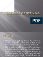 Principles of Staining