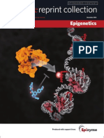 Nature Publishing Group - Epigenetics Collection