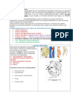 LESIONES ILIOSACRAS My Resumen (Autoguardado)