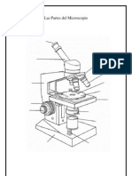 Las Partes Del Microscopio