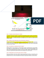 Step 1: Template Creation (Projection Module)