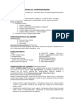 Resumen Del Segmento de Abdomen PDF