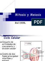 3 Mitosis y Meiosis