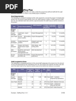 3.2.2 Example - Staffing Plan v1.0.1