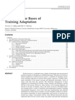 Molecular Basis of Adaptation To Exercise Sports Med 2007 J Hawley