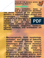 1.clinical Characteristics:: Characteristics of The Animal Model in Periodontal Health