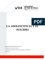 La Adolescencia y El Suicidio, Ensayo