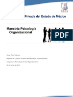 Perfil de Psicologo Organizacional