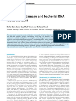 UV Radiation Damage and Bacterial DNA Repair Systems