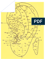 Cartograma Auricular