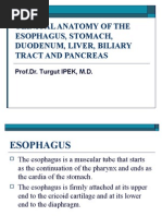 Clinical Anatomy of The Esophagus and Stomach