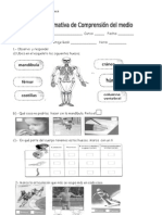 Evaluacion Formativa El Cuerpo Humano