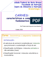 Aula Carnes