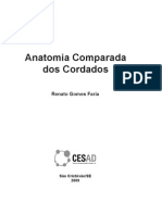 Anatomia Comparada Dos Cordados