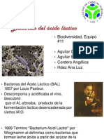 11 - Bacterias Del Ácido Láctico