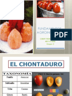 El Chontaduro