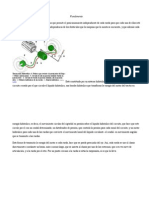 Fundamentos de La Hidrostatica