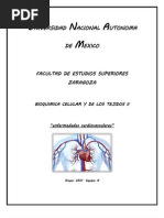 Enfermedades Cardiovasculares