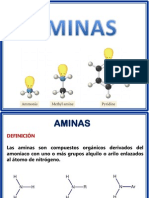 14.aminas y Aminoácidos