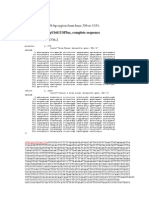 Showing 976 BP Region From Base 356 To 1331.: Reporter Vector Pubigusplus, Complete Sequence