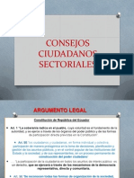 Consejos Ciudadanos Sectoriales