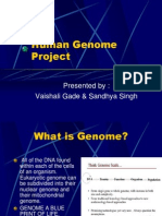 Human Genome Project: Presented By: Vaishali Gade & Sandhya Singh