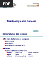 2 Terminologie Buemi PDF