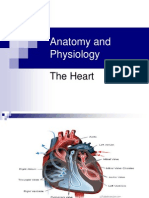 Anatomy and Physiology The Heart