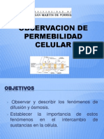 Permeabilidad Celular