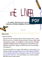 The Liver