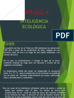 4 Inteligencia Ecologica