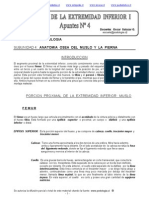 Anato PDF