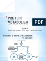 PROTEIN METABOLISM Dea Farha Fira Darson Fine