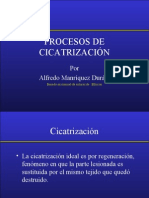 Cicatrización