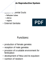 Female Reproductive Histology