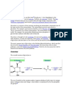 Glycolytic Pathway