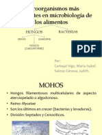 Microorganismos Más Importantes en Microbiología de Los Alim