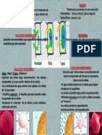 Solucion Hipo e Hipertonica Fisio