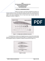 Teor A y Analisis de Respuestas Ppa