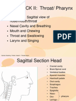 HeadNeck II Pharynx2