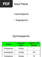 Gymnosperms and Angiosperms