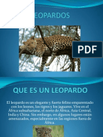 Leopardo S