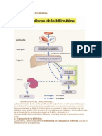 Metabolismo de La Bilirrubina