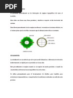 Hilos Estadimétricos