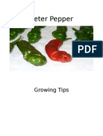 Peter Pepper Growing Tips