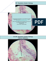 Histology Respiratory