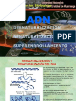 Desnaturalización, Renaturalización y Superenrollamiento