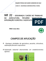 NR 31 - Apresentação